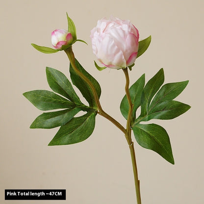 Artificial Peony Flowers - 2 Stems