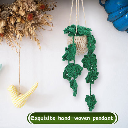 Crochet Plant Pendant Kit