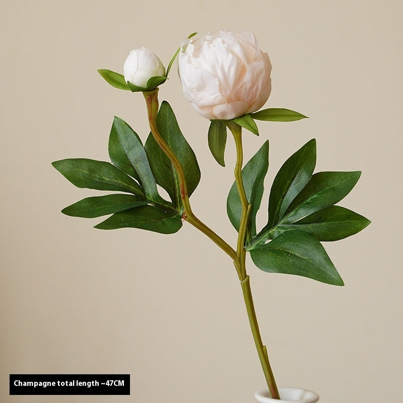 Artificial Peony Flowers - 2 Stems