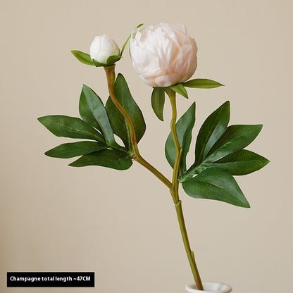 Artificial Peony Flowers - 2 Stems