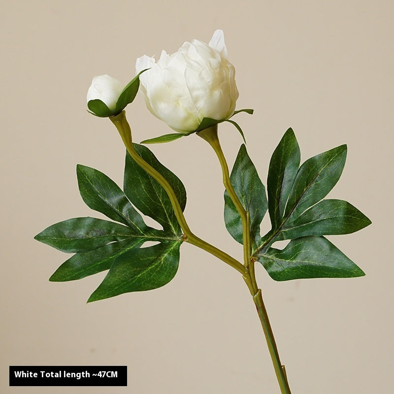 Artificial Peony Flowers - 2 Stems