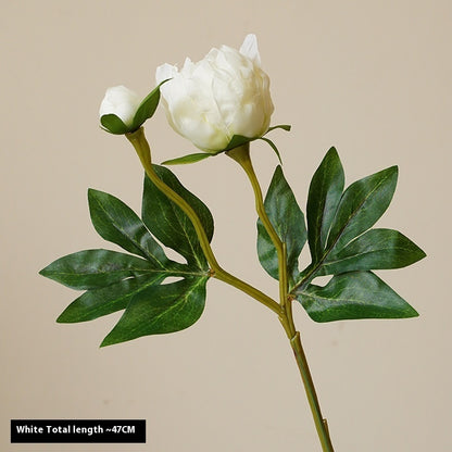 Artificial Peony Flowers - 2 Stems
